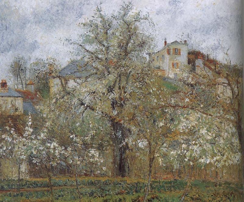 Camille Pissarro spring flowering gardens and trees